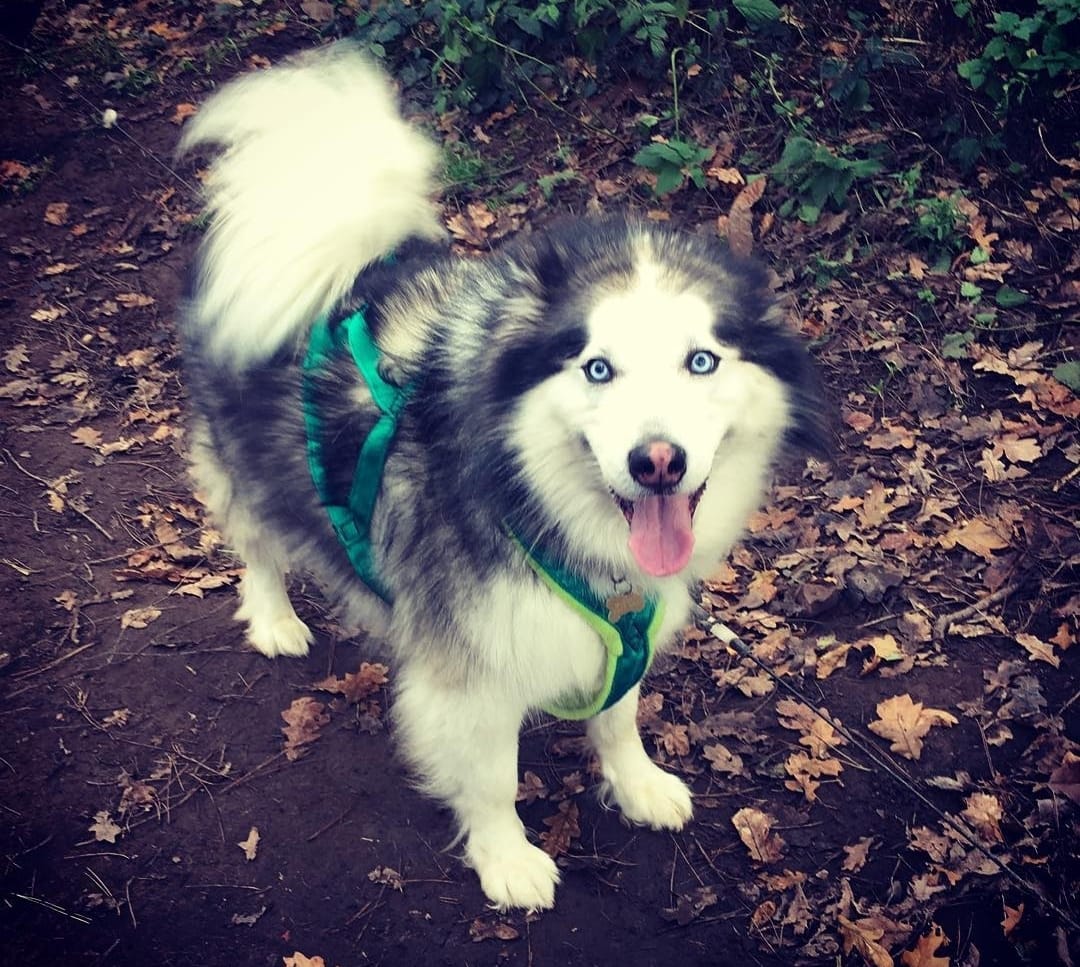 Keira's run time